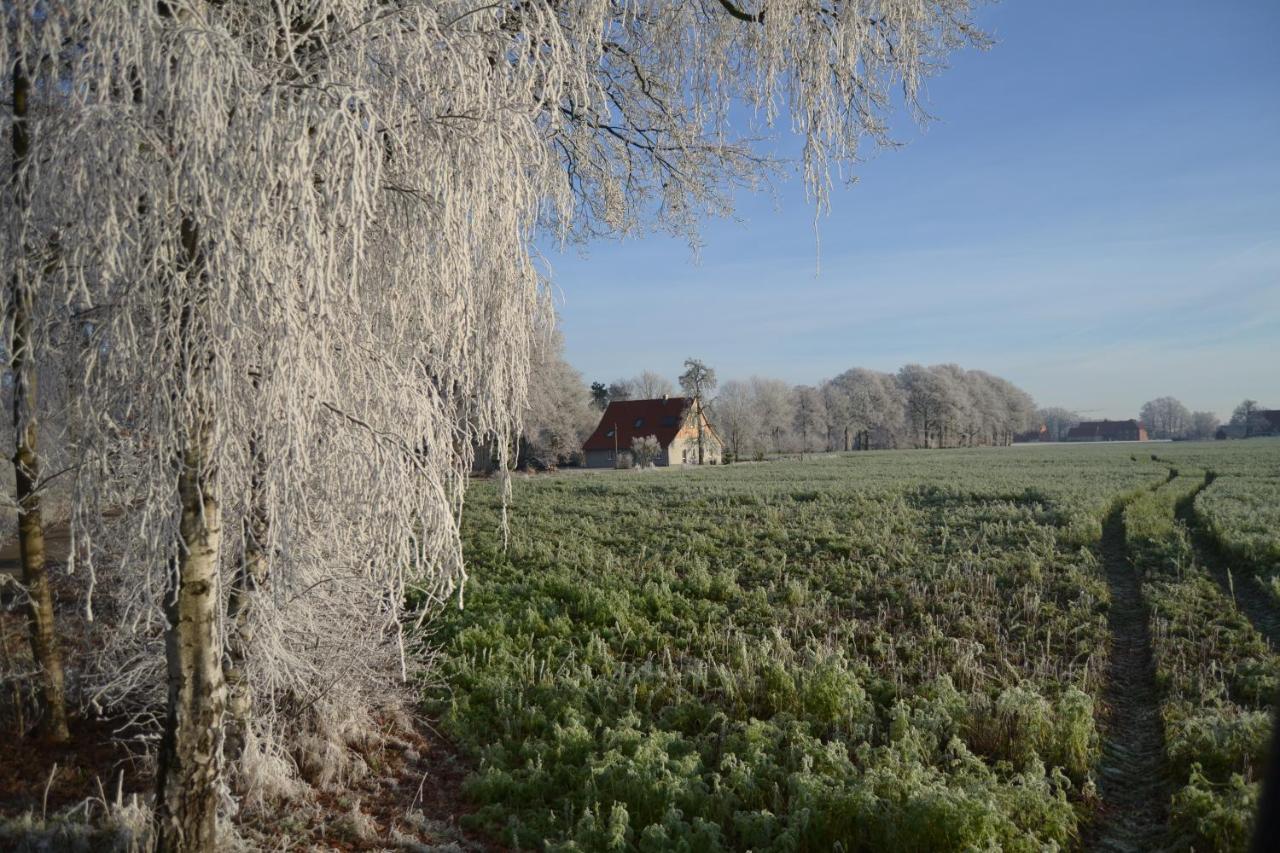Zum Heuerling Ferienwohung Im Alten Stall Mit Sauna Versmold Extérieur photo